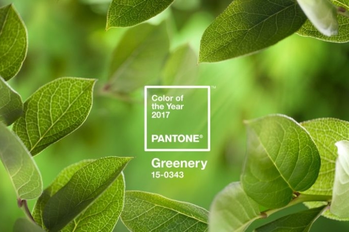  GREENERY (Pantone 15-0343)